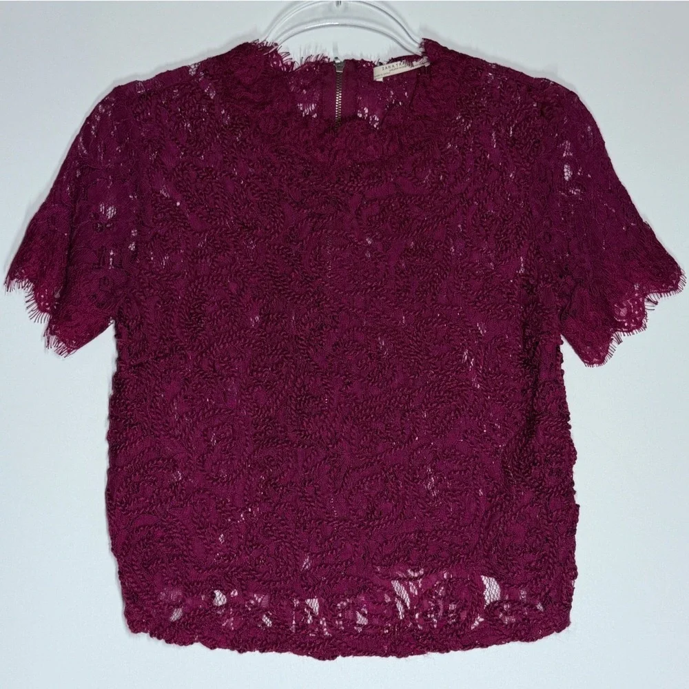 Zara Trafaluc Burgundy Lace Short Sleeve Crop Top Medium